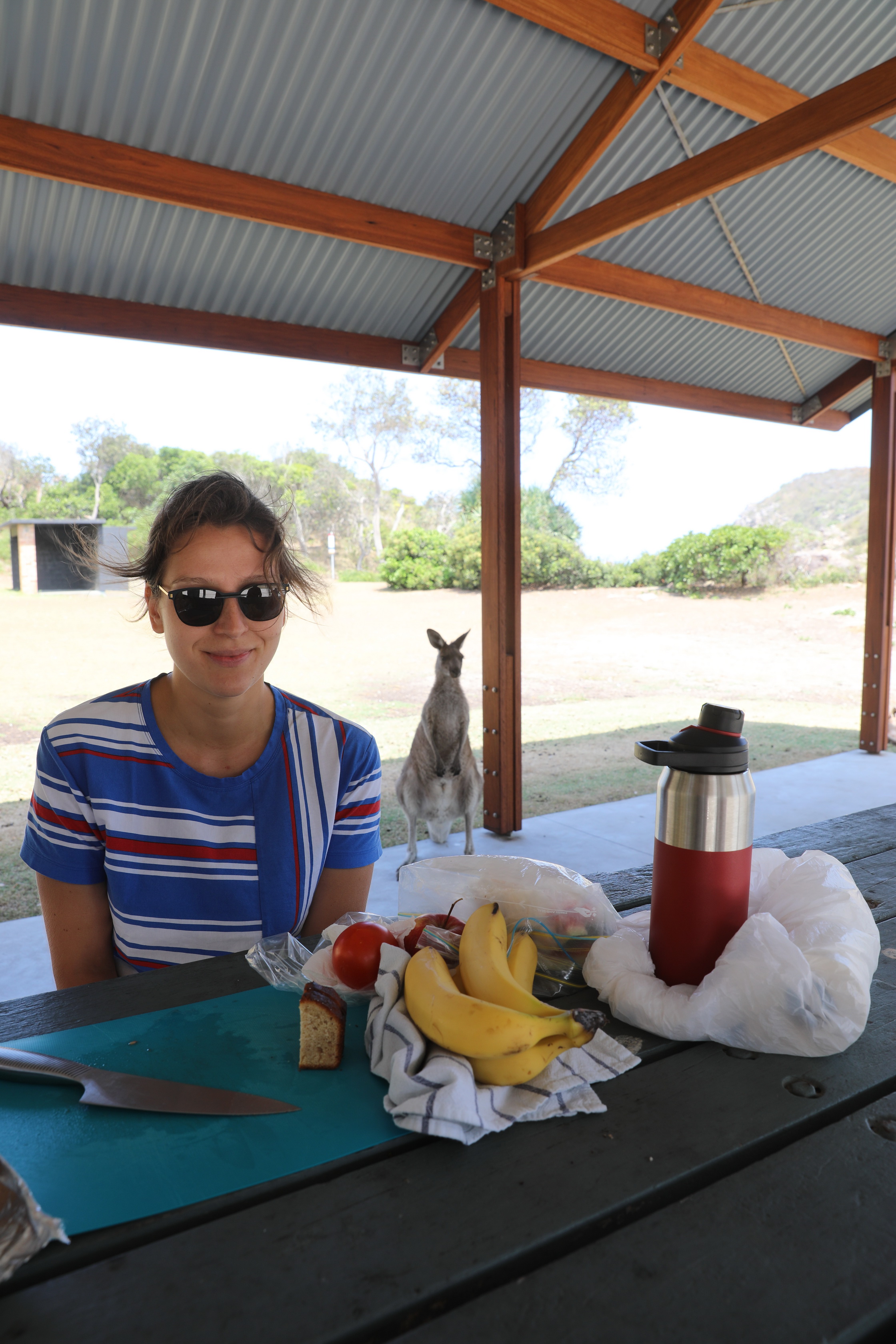 Little Bay Picnic Area
